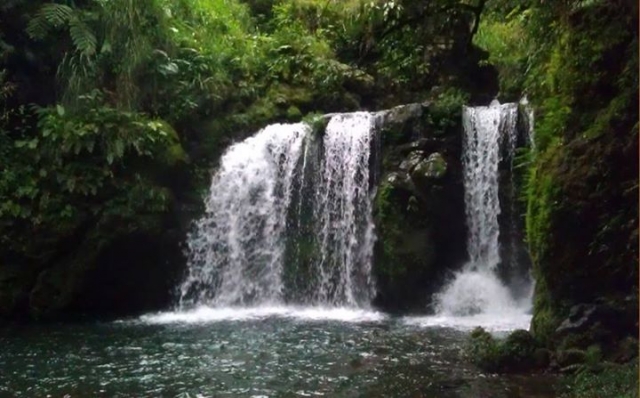 Kommen Sie zum Abseilen